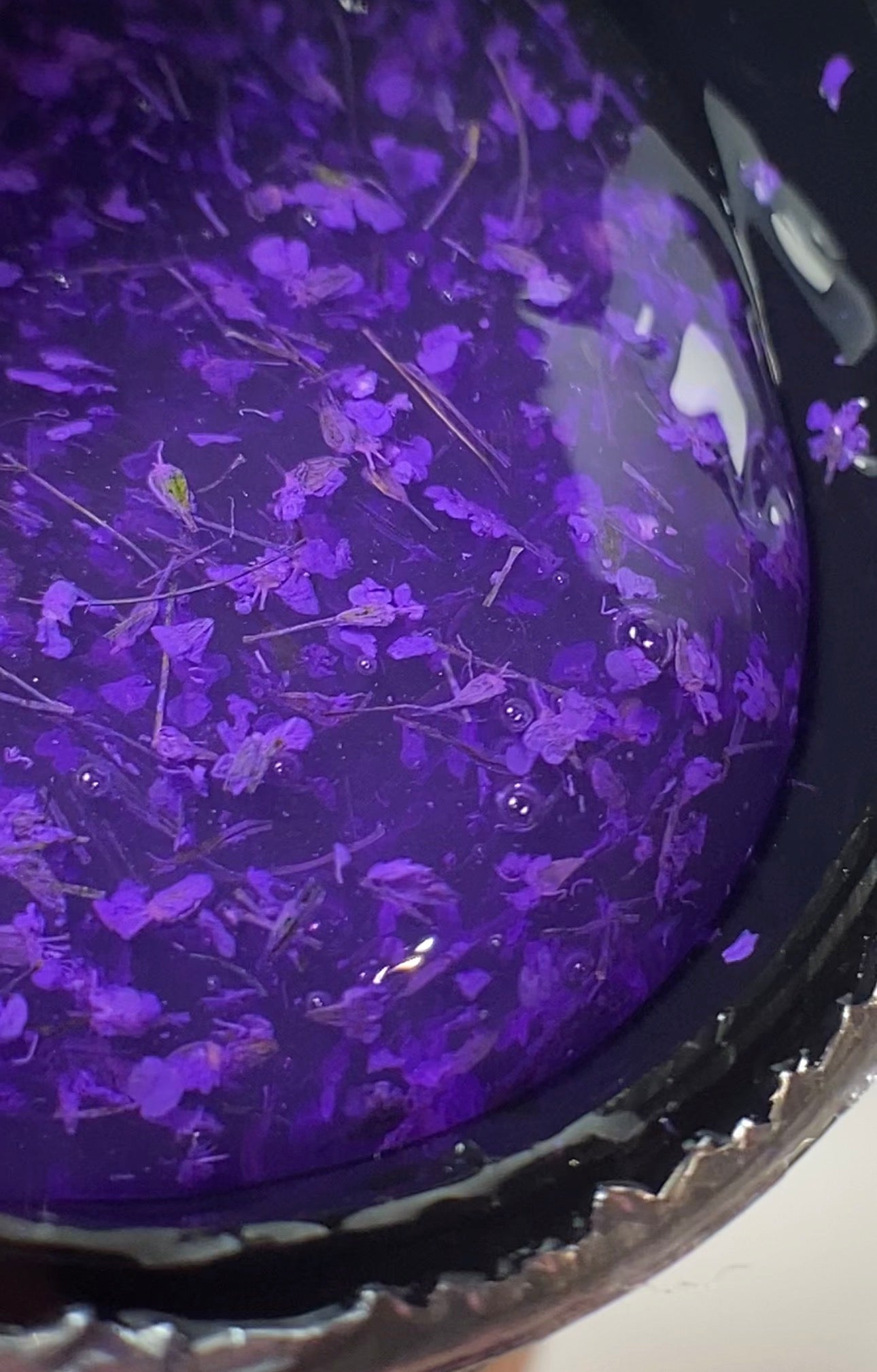 Botanical Symphony-Violet Serenade-Hemma&Tpo free