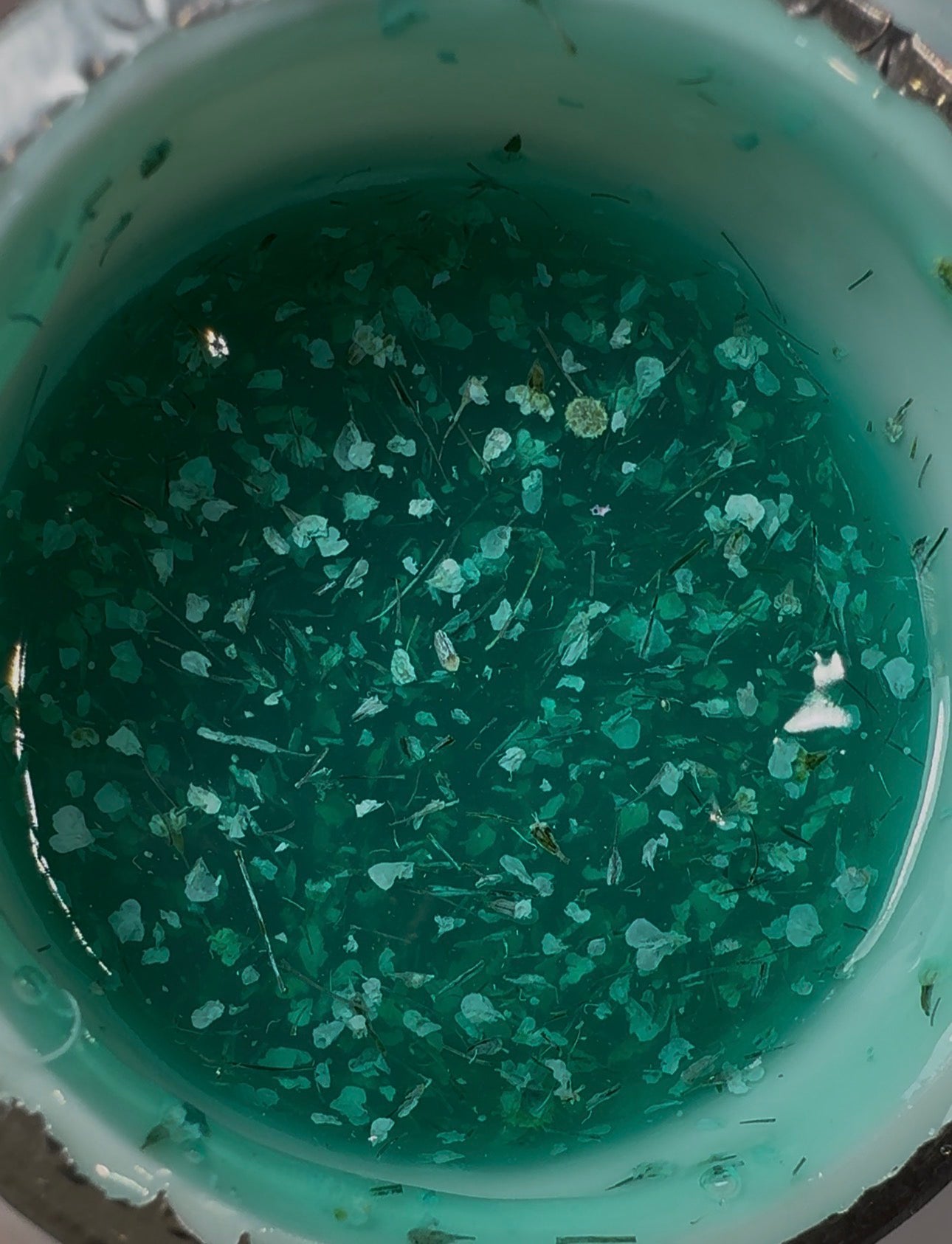 Botanical Symphony – Lagoon Bloom (Builder Gel 30g)