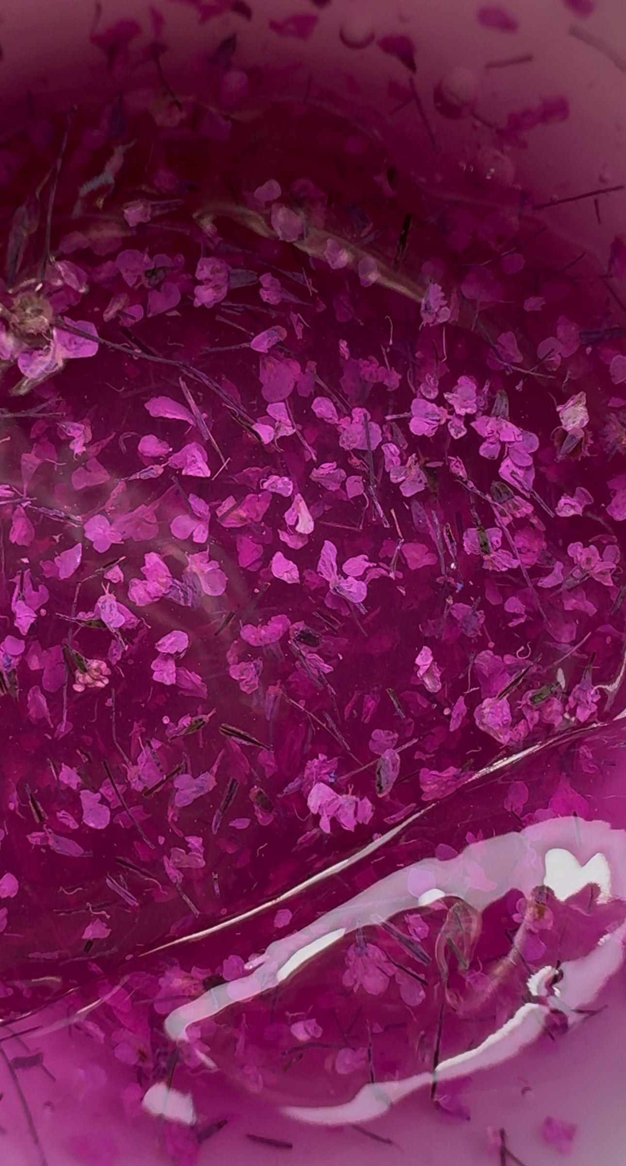 Botanical Symphony -Wild Orchid – Hemma&Tpo free
