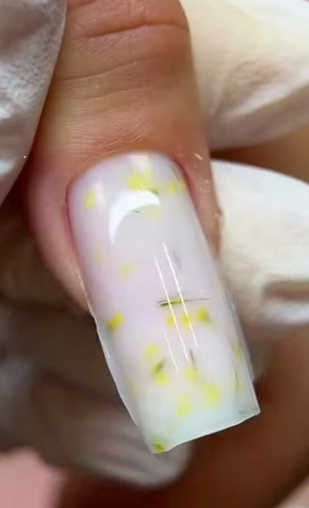 🌼 Lemon Blossom – Pastel Botanica Builder Gel | 30g