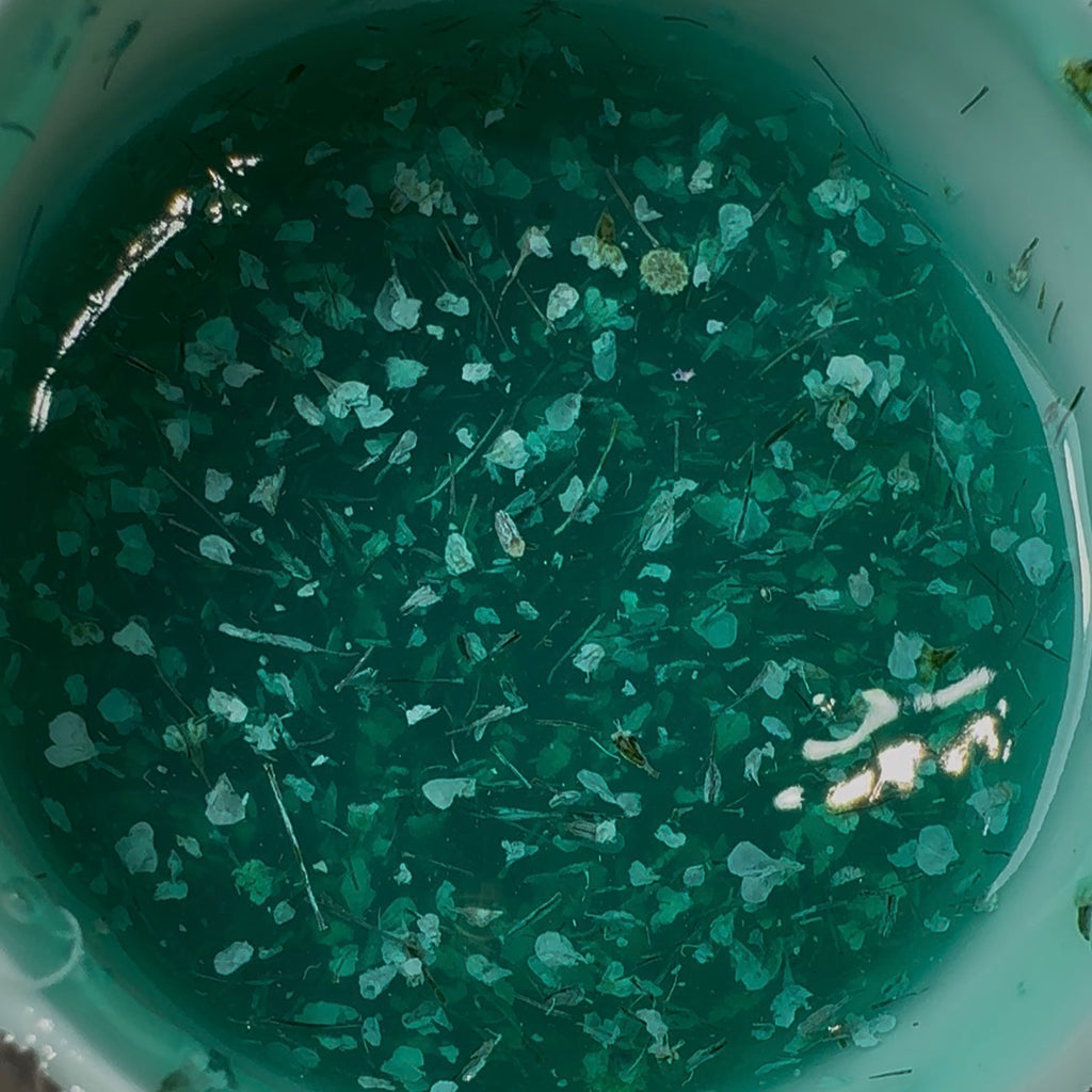 Botanical Symphony – Lagoon Bloom (Builder Gel 30g)
