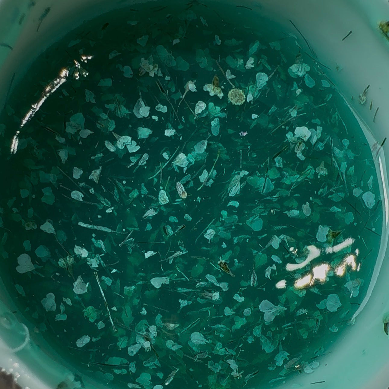 Botanical Symphony – Lagoon Bloom (Builder Gel 30g)