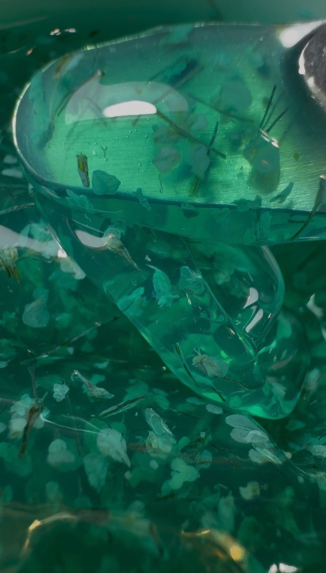 Botanical Symphony – Lagoon Bloom (Builder Gel 30g)