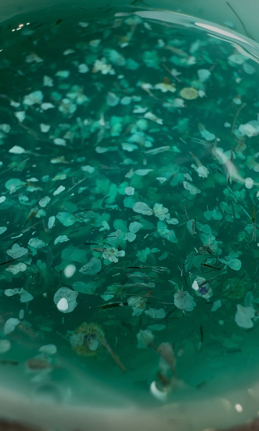 Botanical Symphony – Lagoon Bloom (Builder Gel 30g)