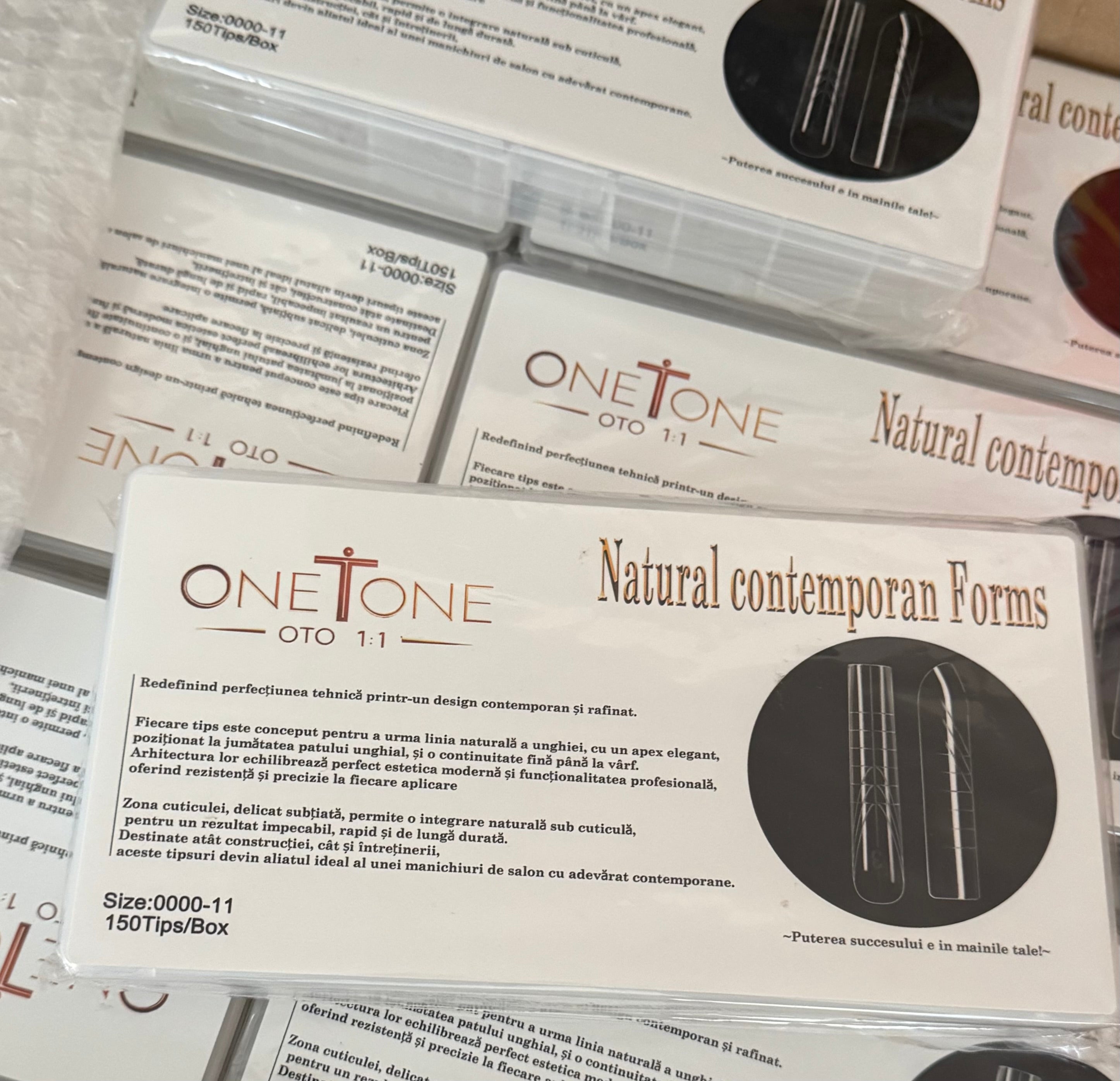 Natural Contemporan Forms