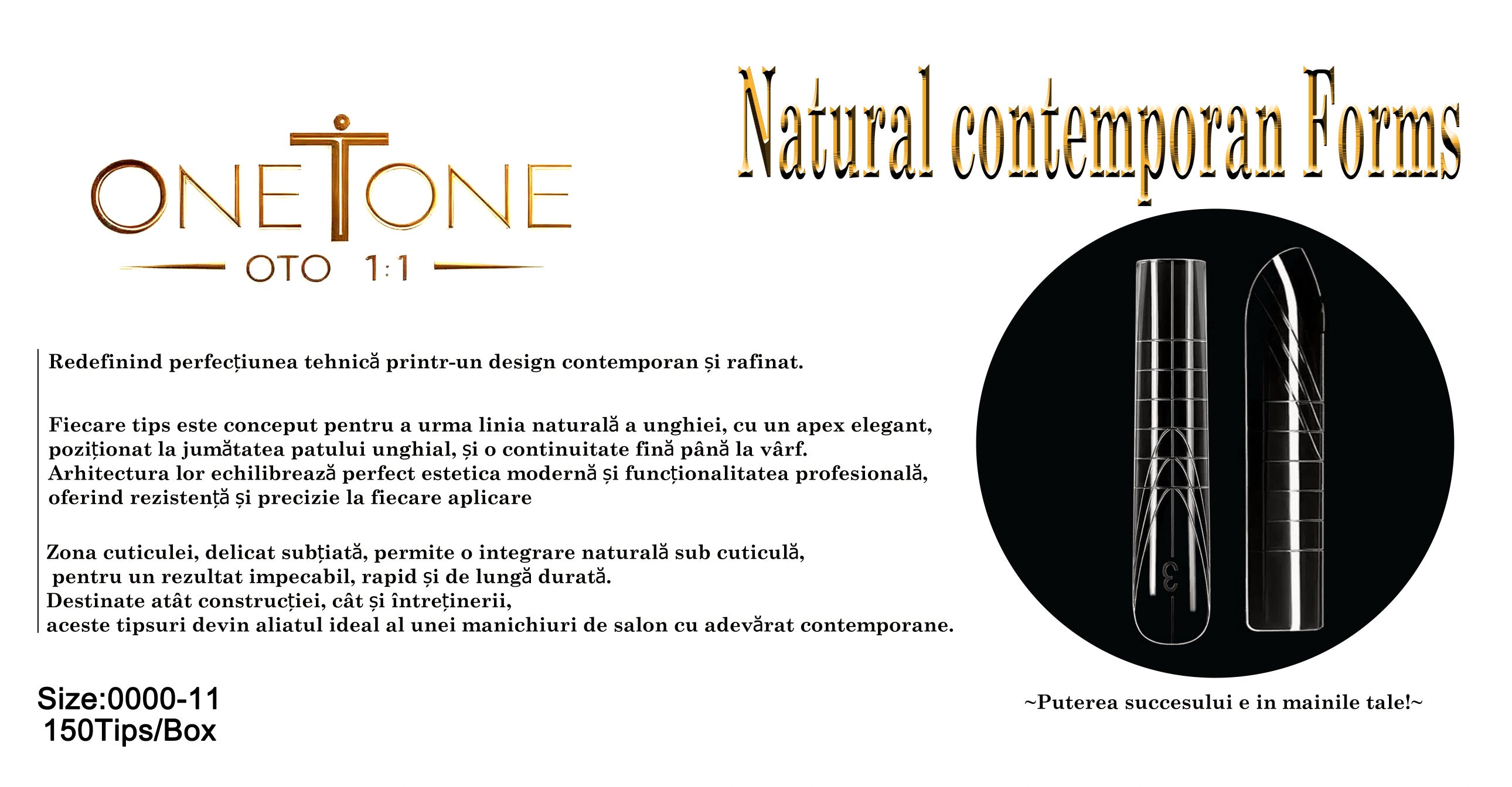 Natural Contemporan Forms