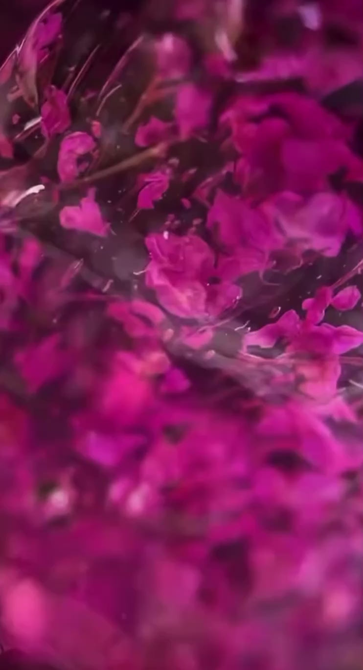 Botanical Symphony -Wild Orchid – Hemma&Tpo free