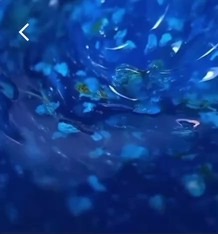 Botanical Symphony- Azure Bloom-Hemma&Tpo free